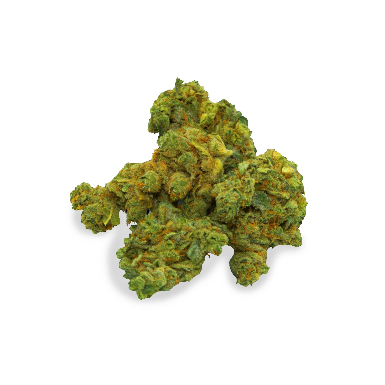 Featured image for “Mojito Strain”