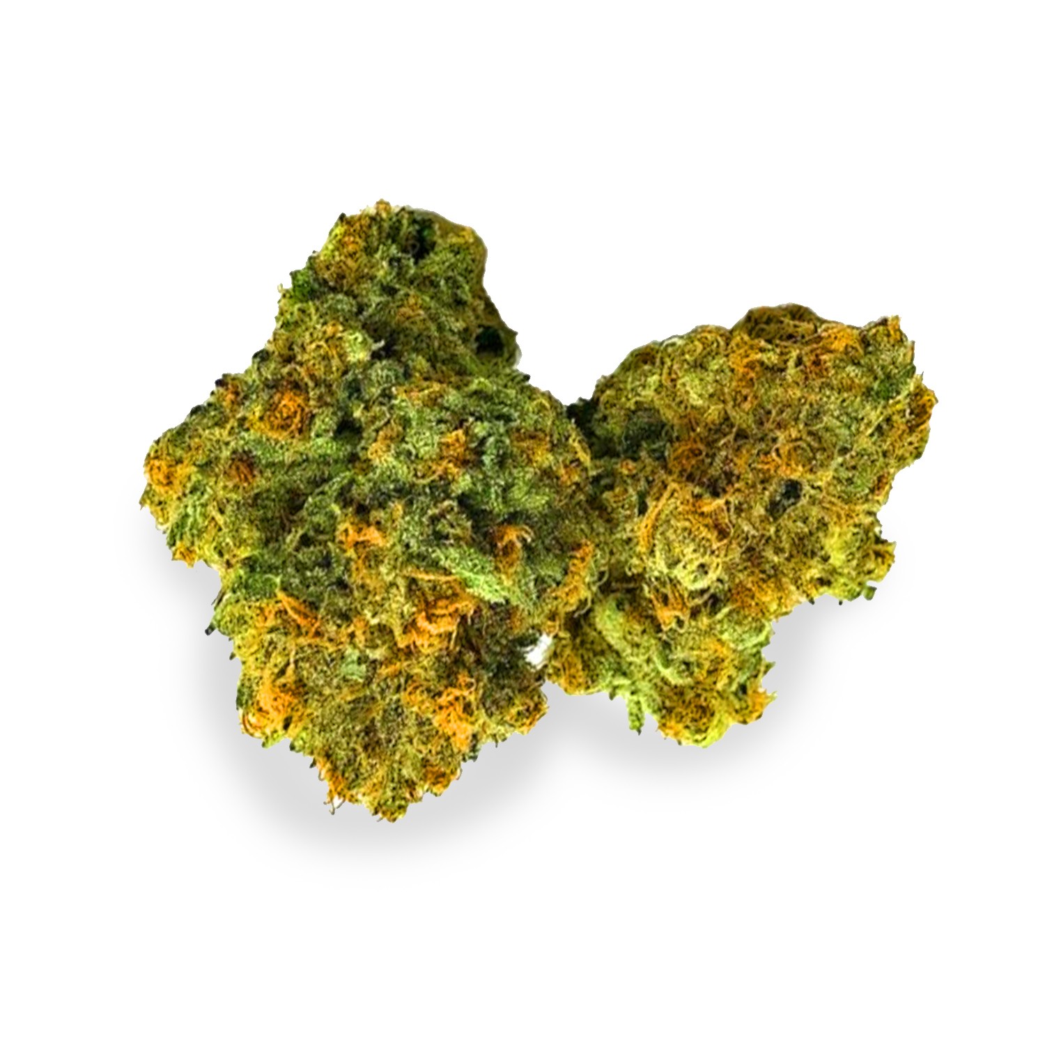 Featured image for “Montana Silvertip Strain”