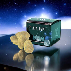 moon_rocks__07063.1741794913