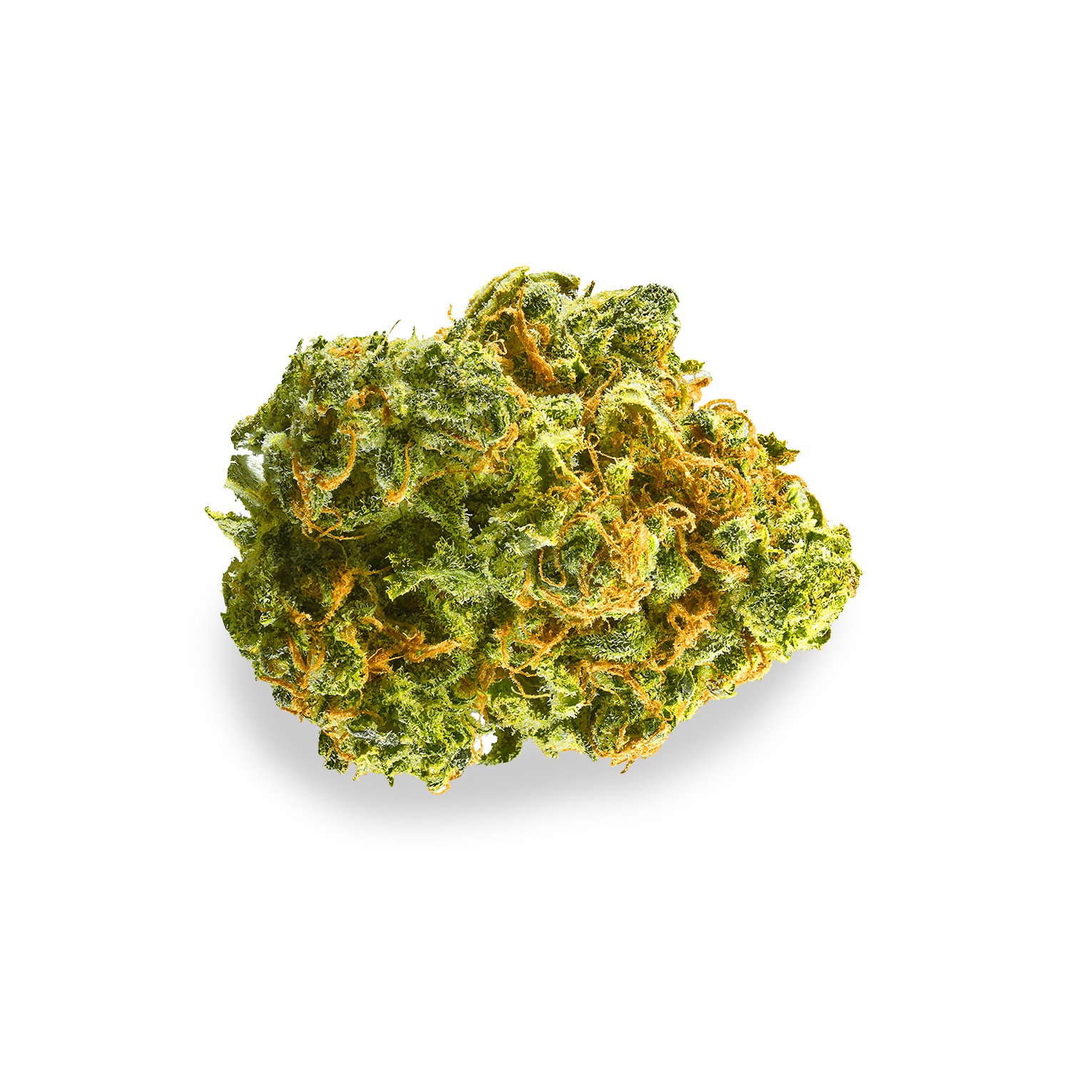 Featured image for “New York Cheesecake Strain”