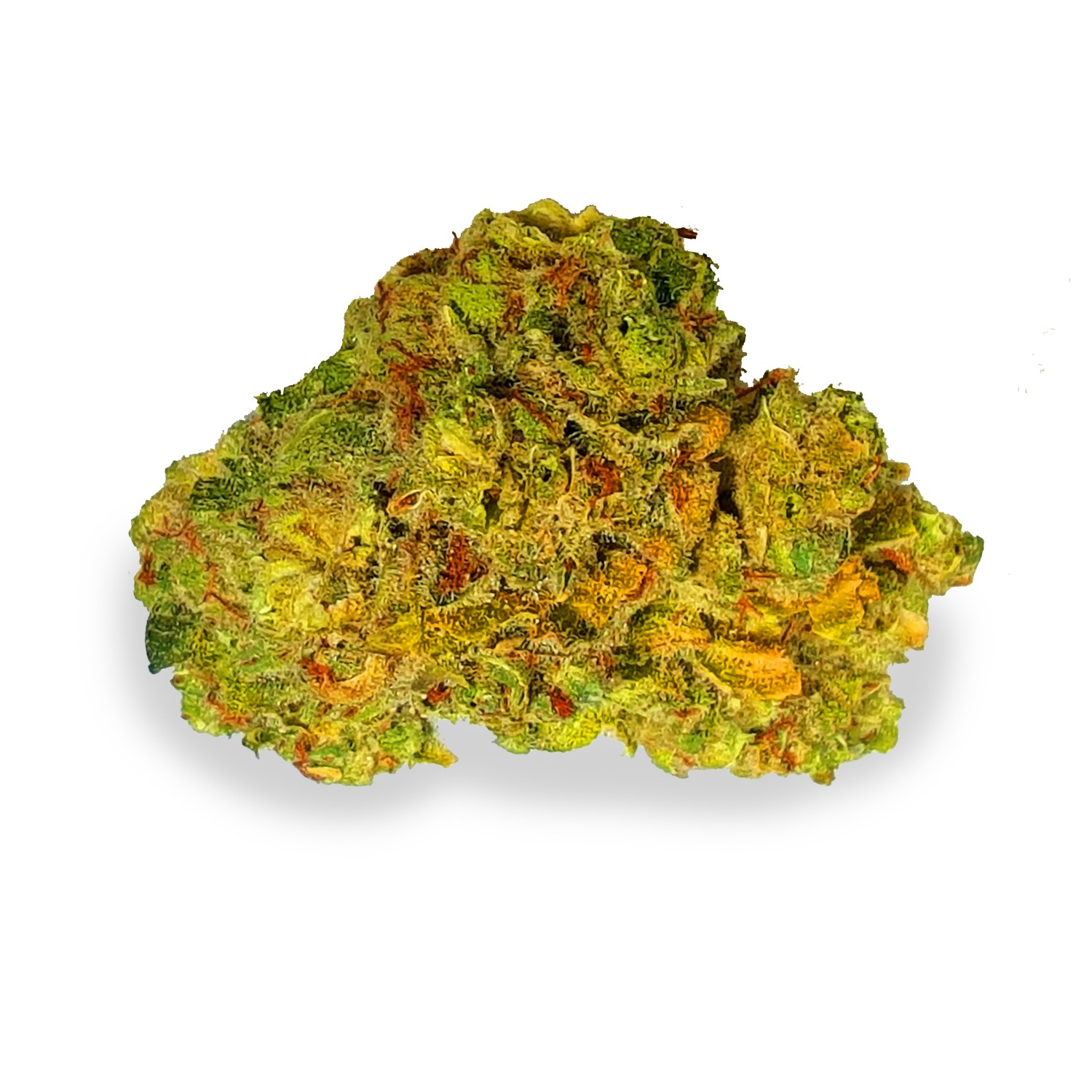 Featured image for “Nordle Strain”