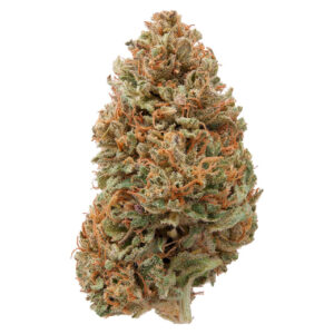 Sour Hawaiian Haze Hemp Flower