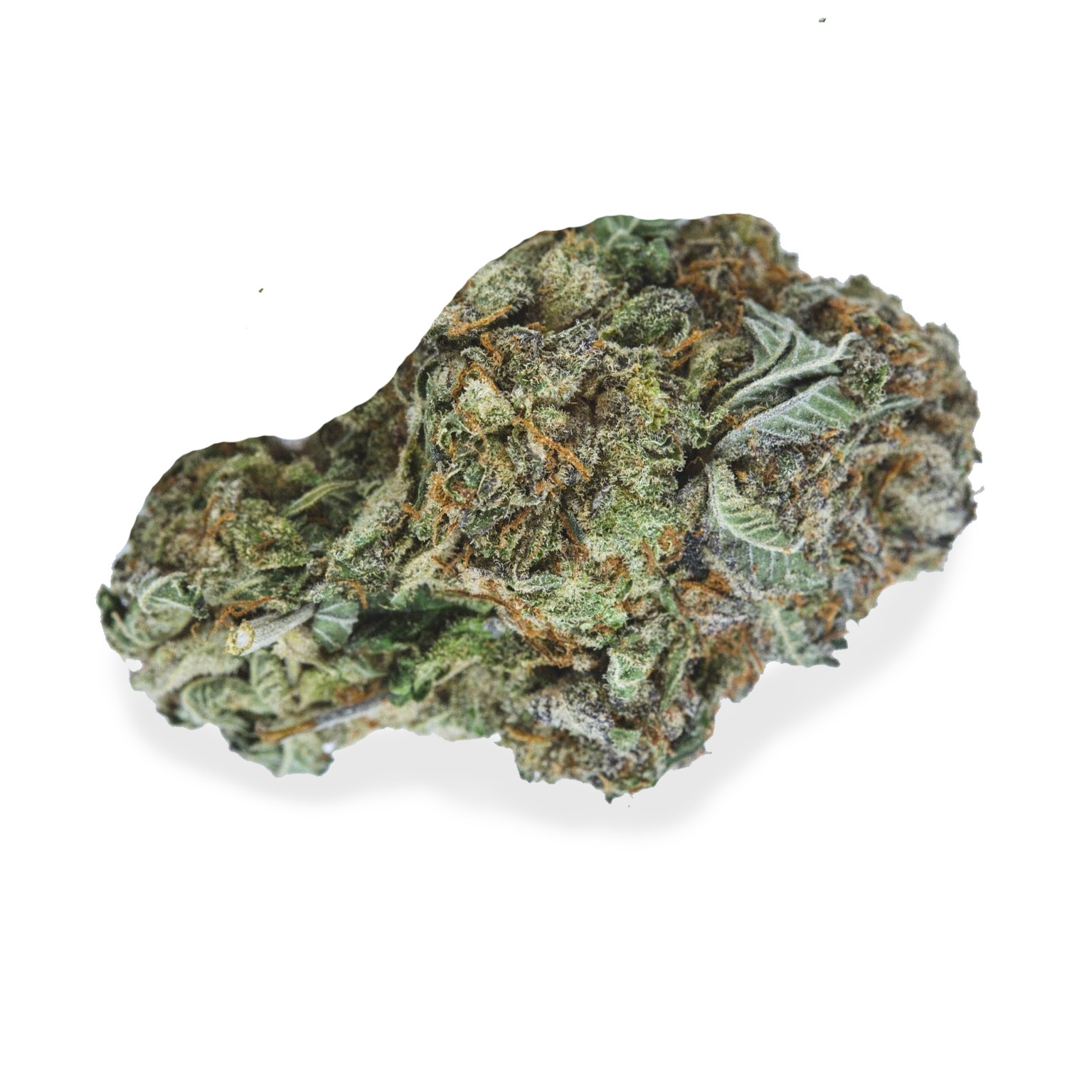 Featured image for “Platinum Kush Strain”