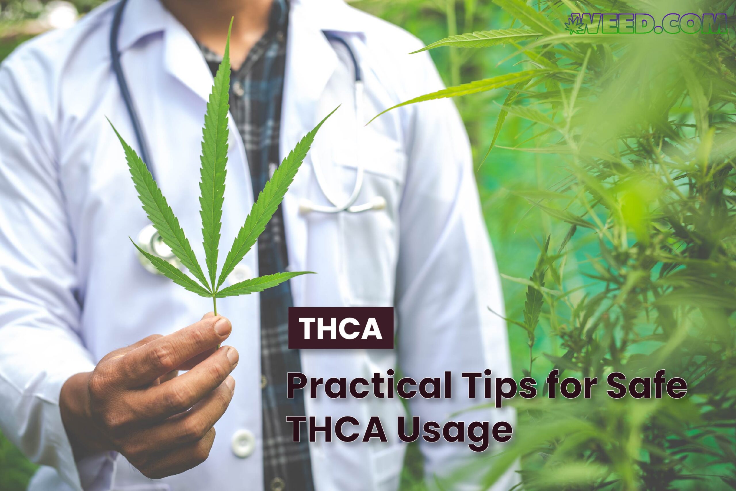 Practical Tips for Safe THCA Usage