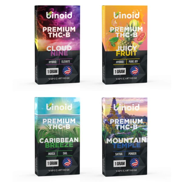 Binoid THC-B Vape Cartridges Bundle 4 Pack