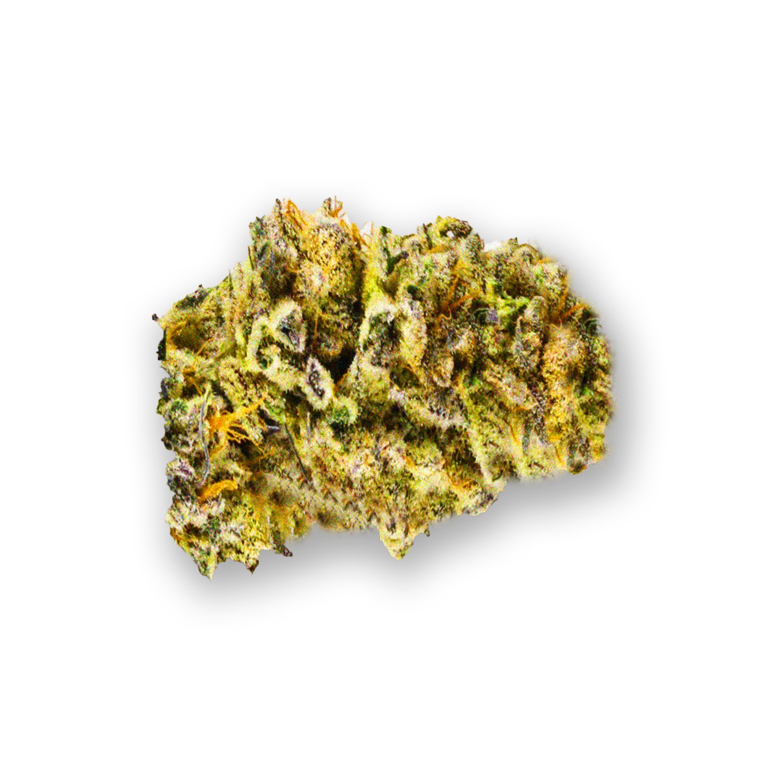 Featured image for “Purple Strawberries Strain”