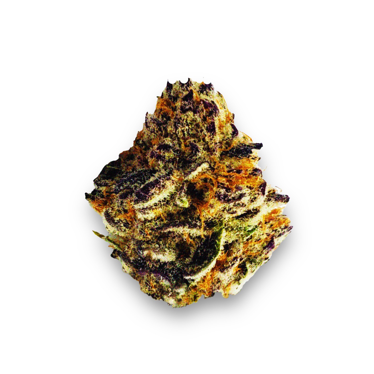 Featured image for “Purple Swish Strain”