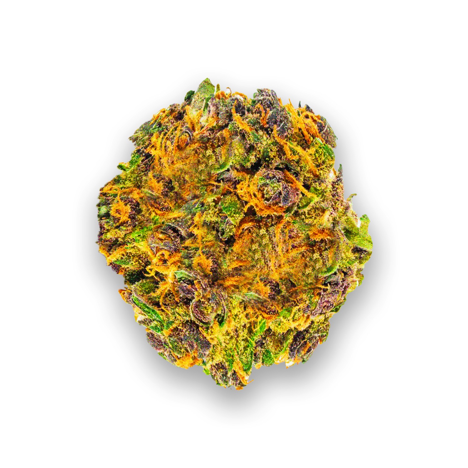 Featured image for “Purple Tangie Strain”