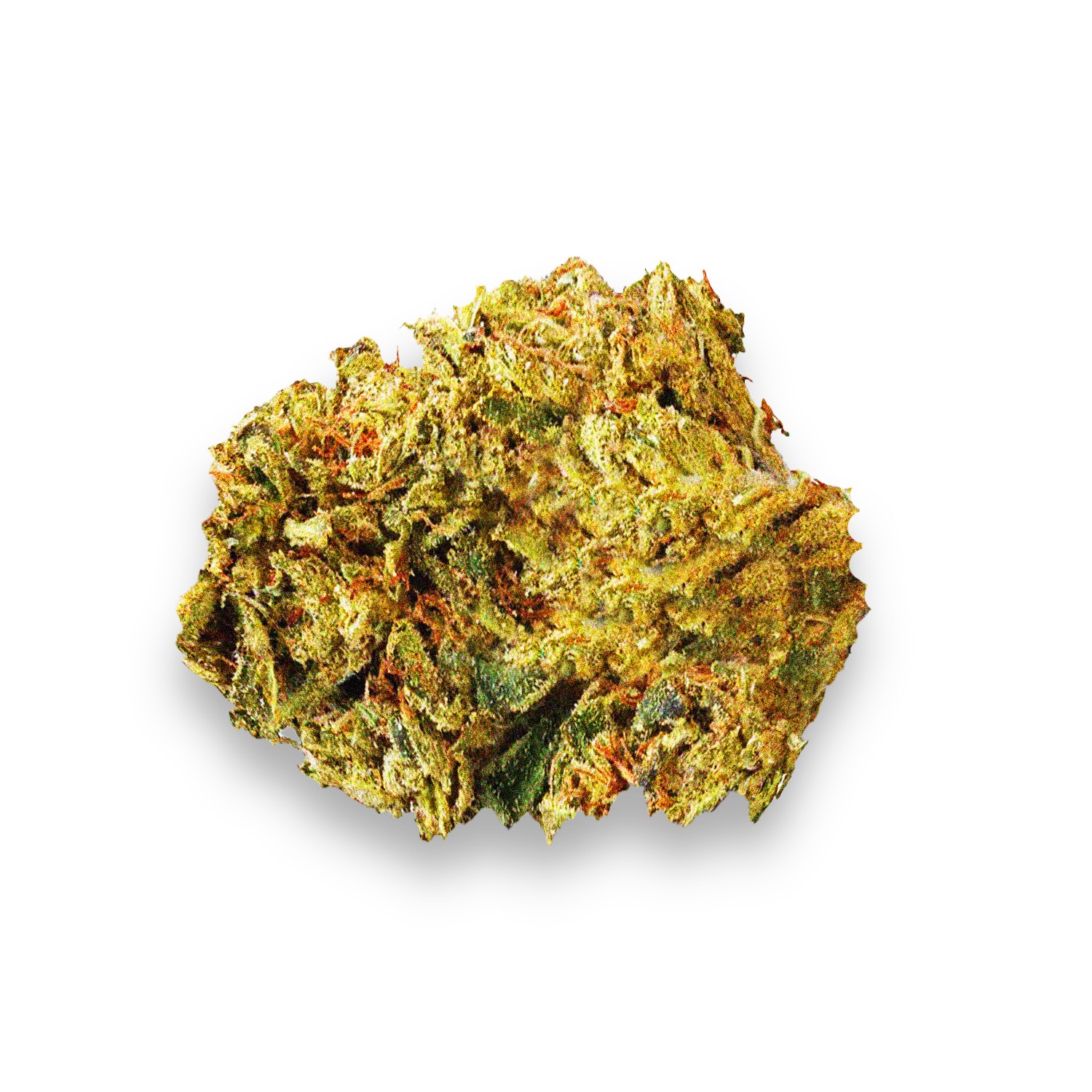 Featured image for “Red Dwarf Strain”