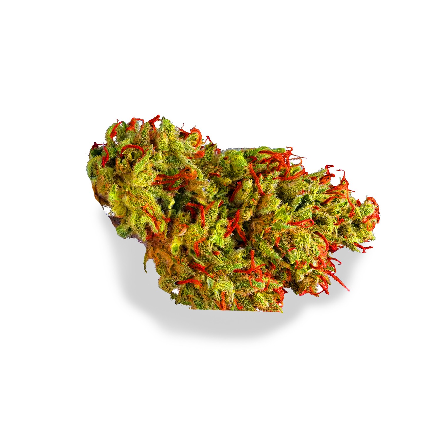 Featured image for “Rollie Strain”