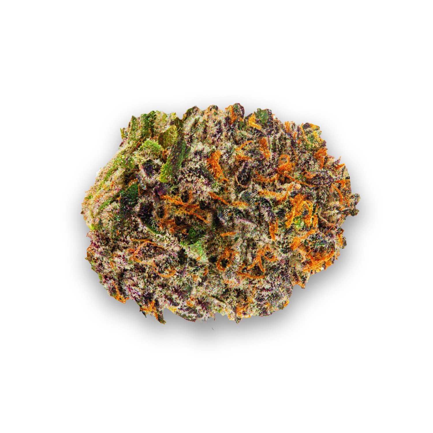 Featured image for “Sapphire OG Strain”