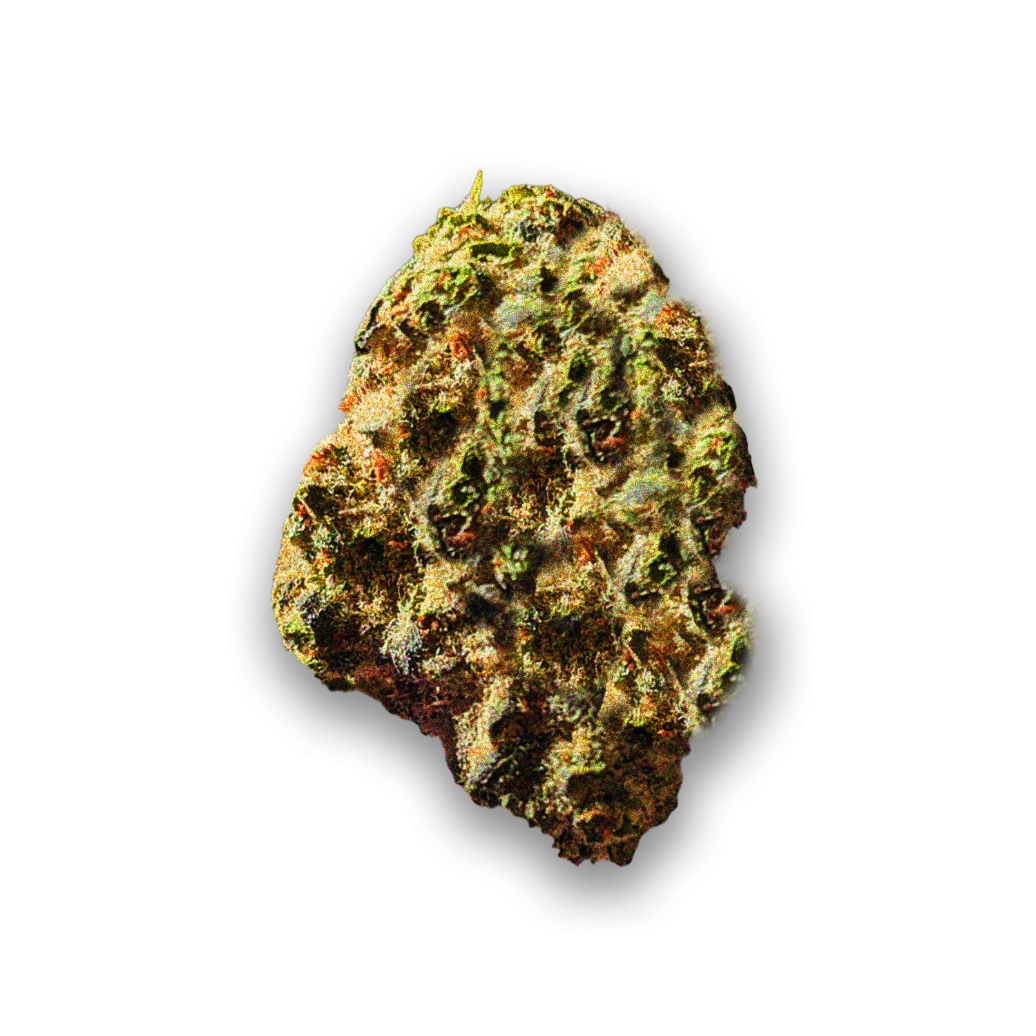 Featured image for “School Lunch Strain”