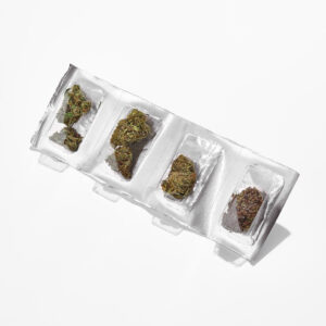 screen_shot_2020-08-20_at_9_31_00_pm__12566_1597985212_1280_1280__13694.1735605289