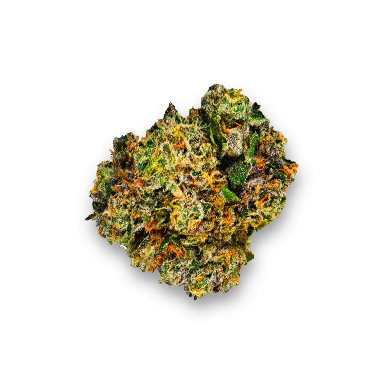 Featured image for “Sherbanger Strain”