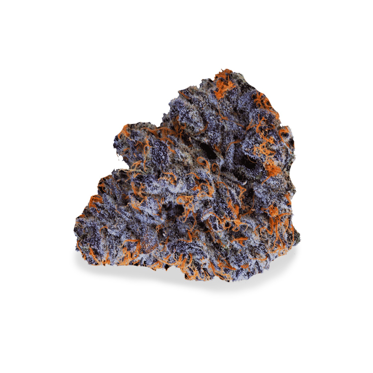 Featured image for “Sherbet Cake Strain”