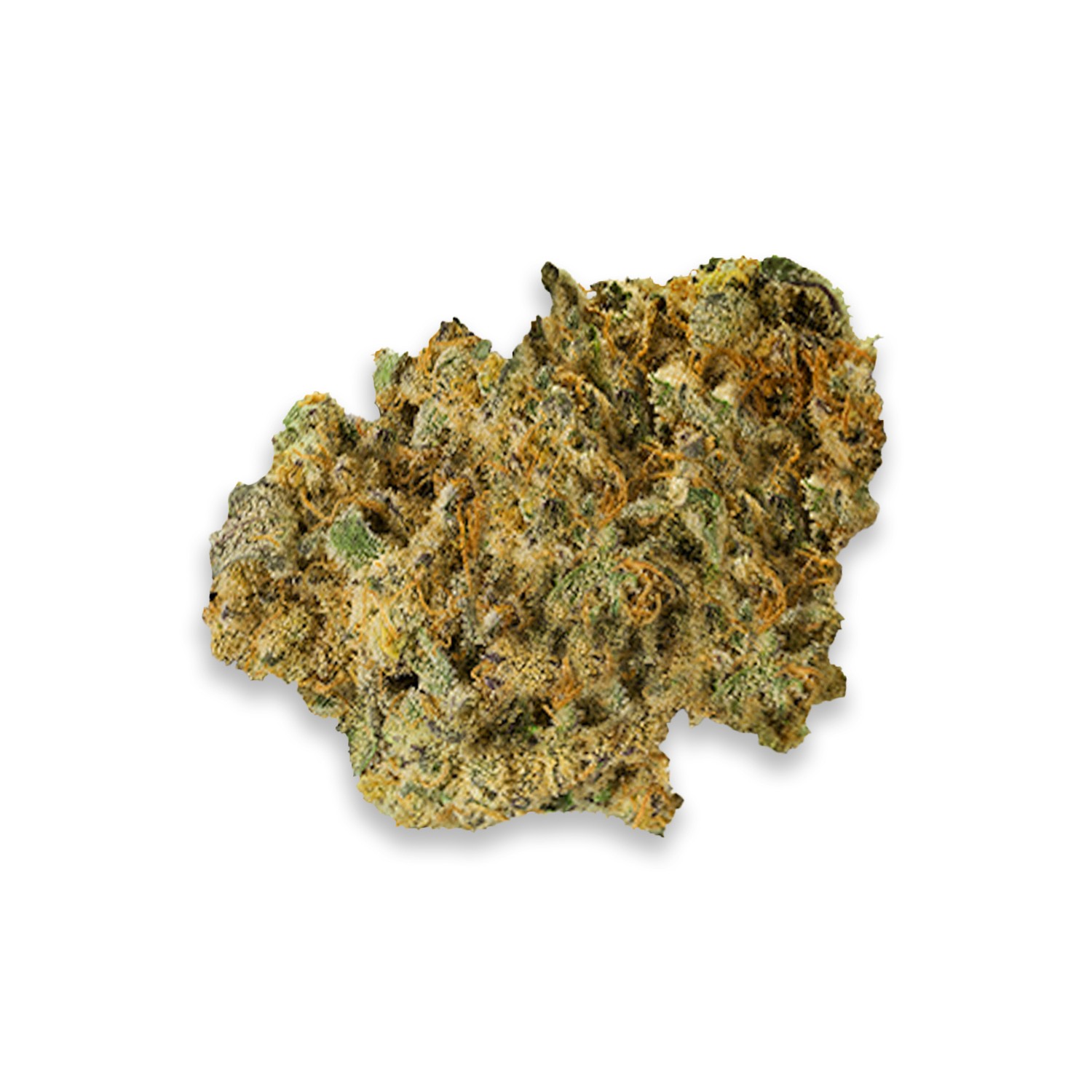 Featured image for “Shortbread Strain”