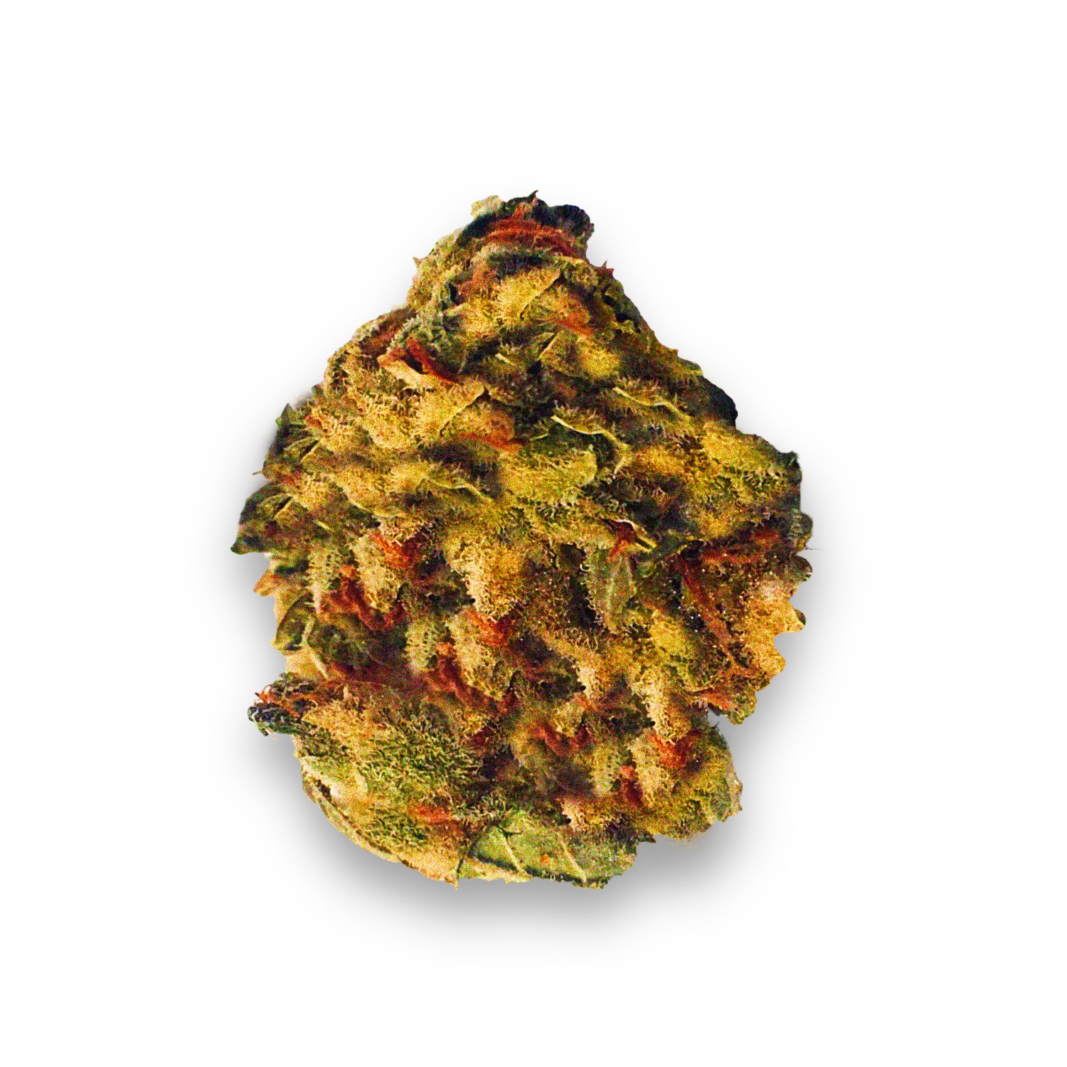 Featured image for “Silver Bubble Strain”