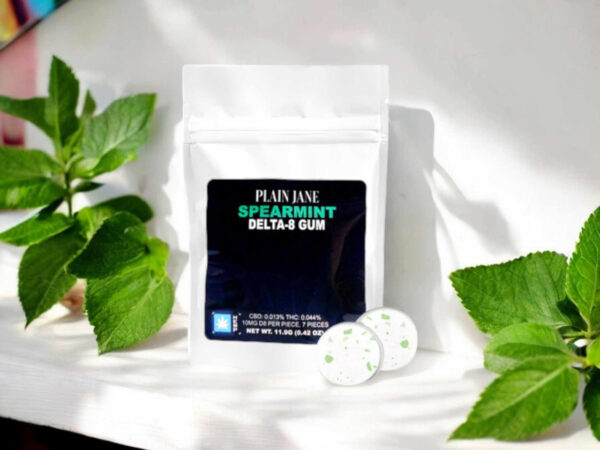 a pack of Delta 8 Spearmint Gum by plain jane