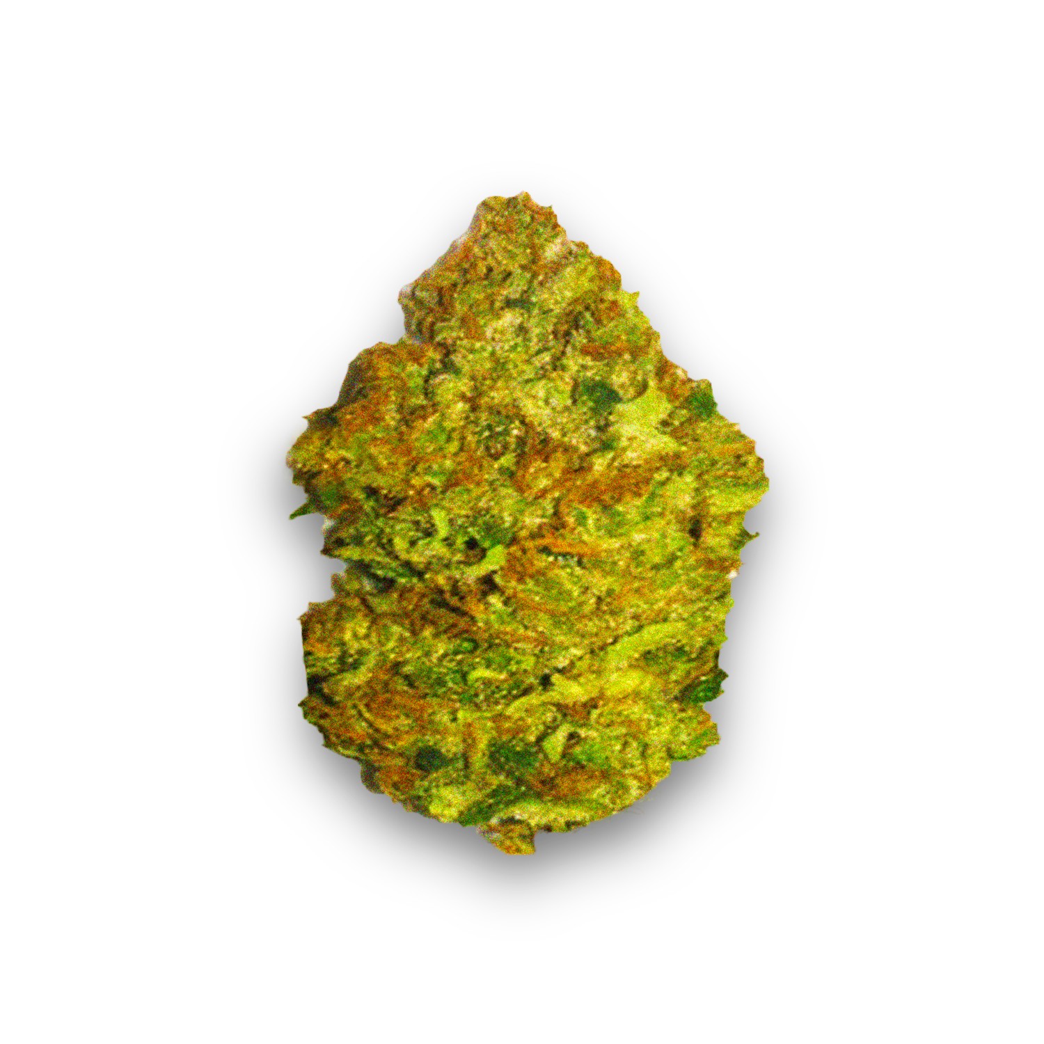 Featured image for “Skunk Haze Strain”