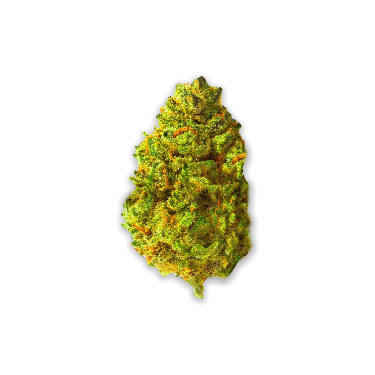 Featured image for “Skunk Hero Strain”