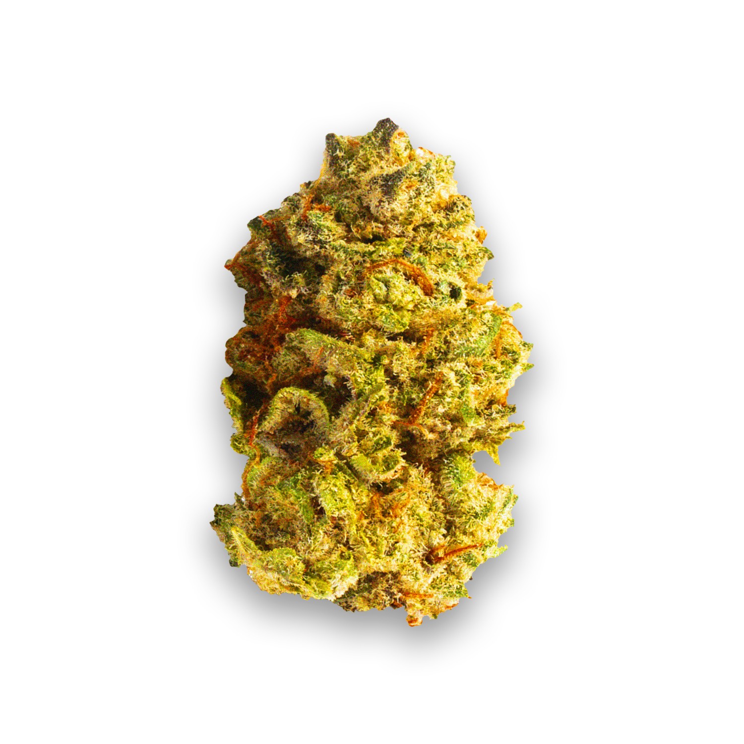 Featured image for “Skunk Plus Strain”