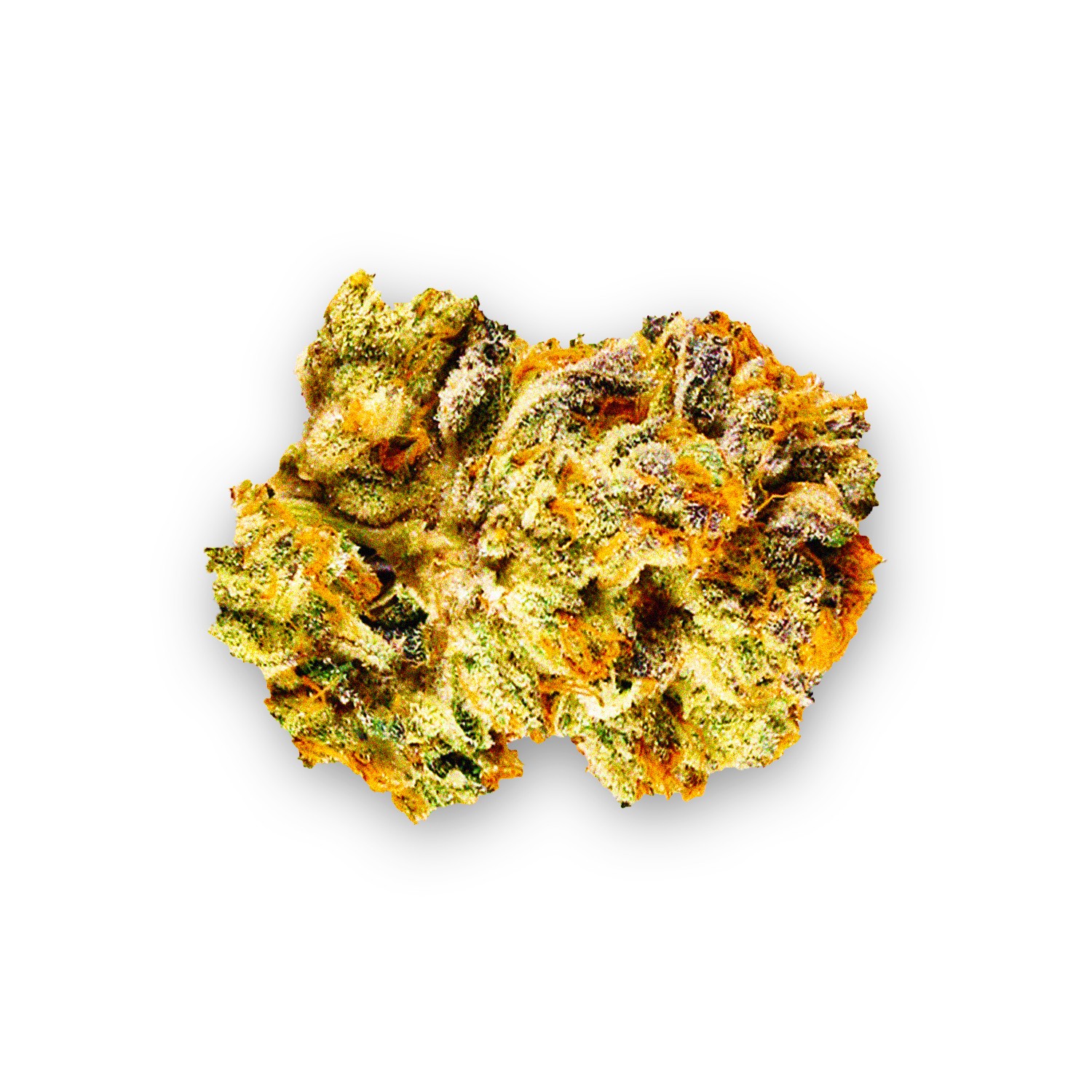 Featured image for “Skunk Strain”