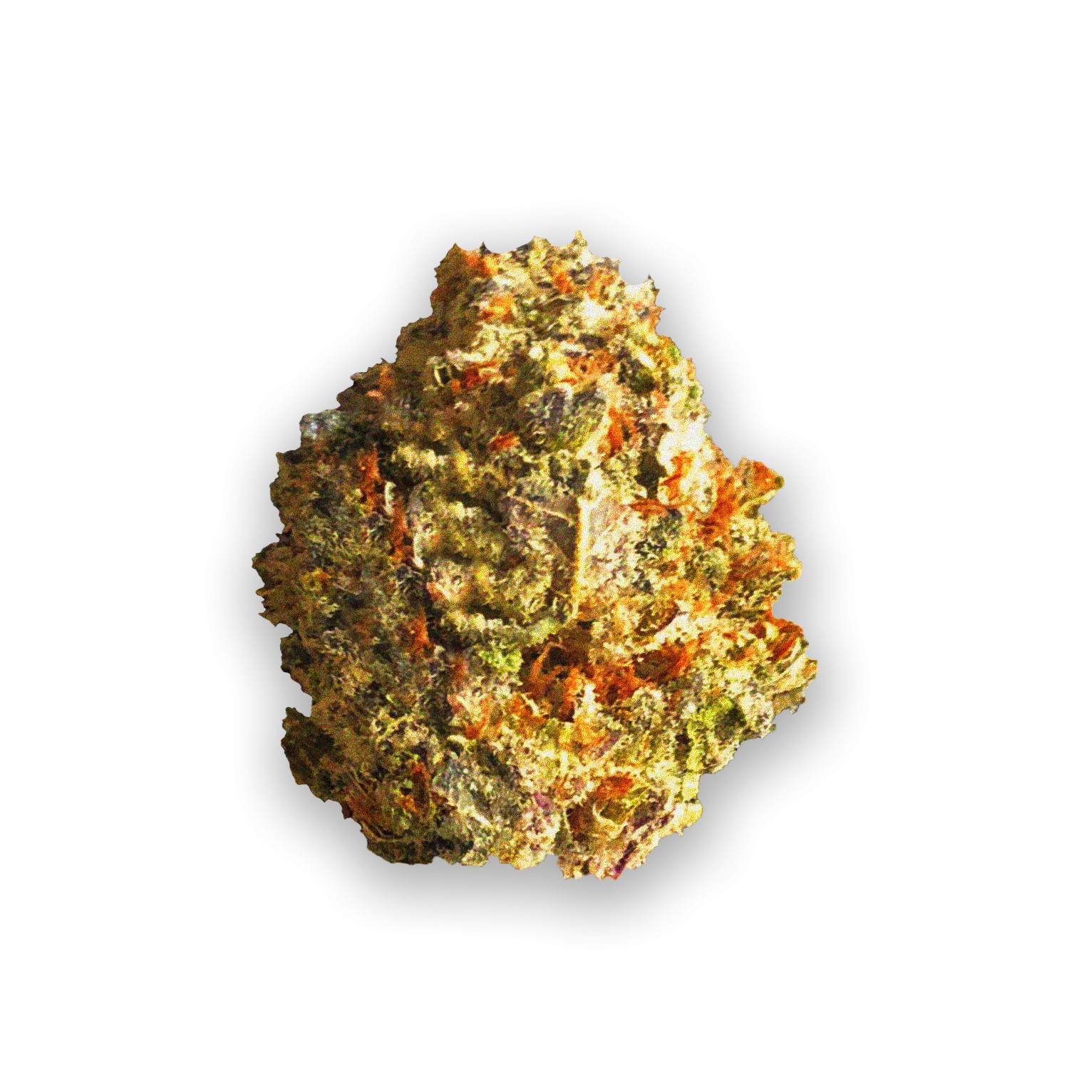 Featured image for “Sky Master Strain”