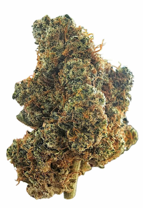 snack_time_pic_of_flower__95203.1725488926