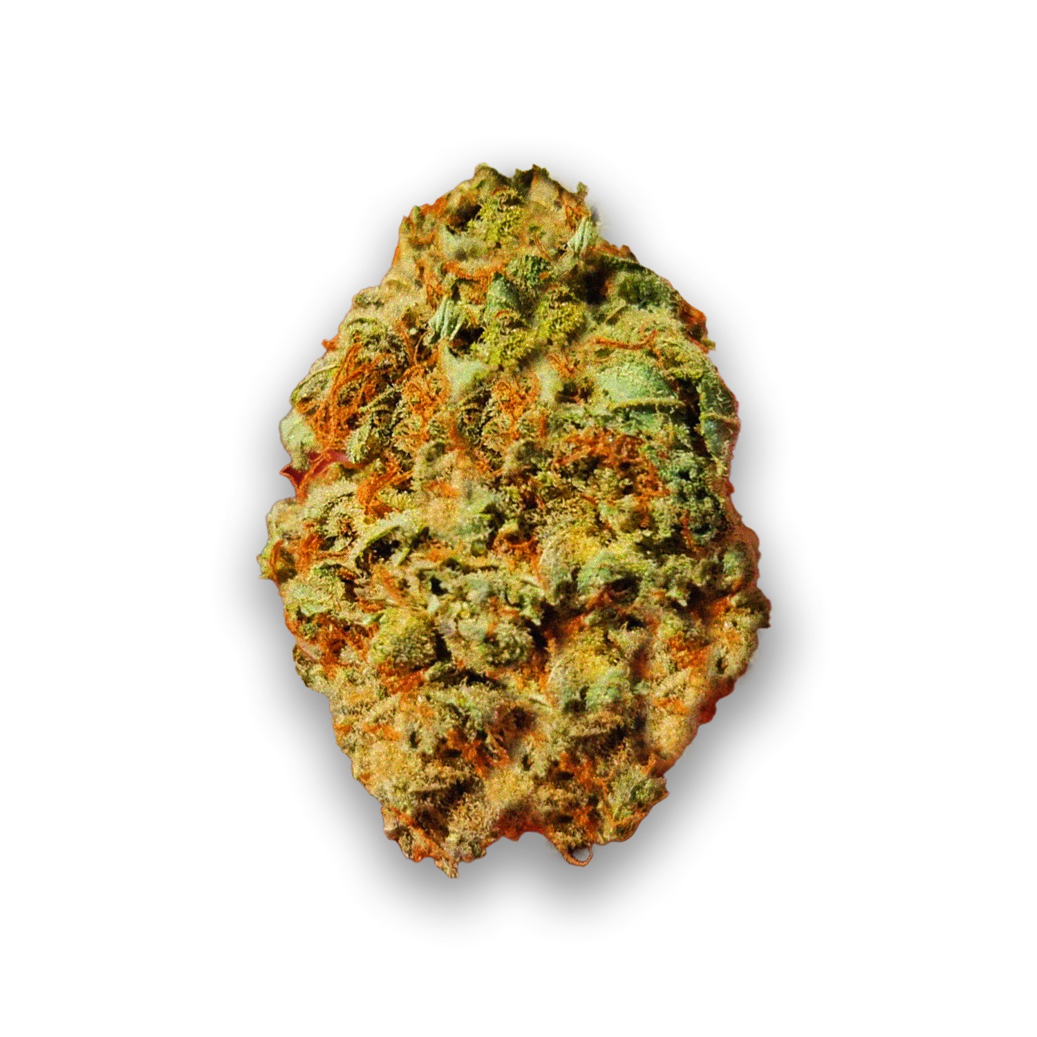 Featured image for “Sun Ra Strain”