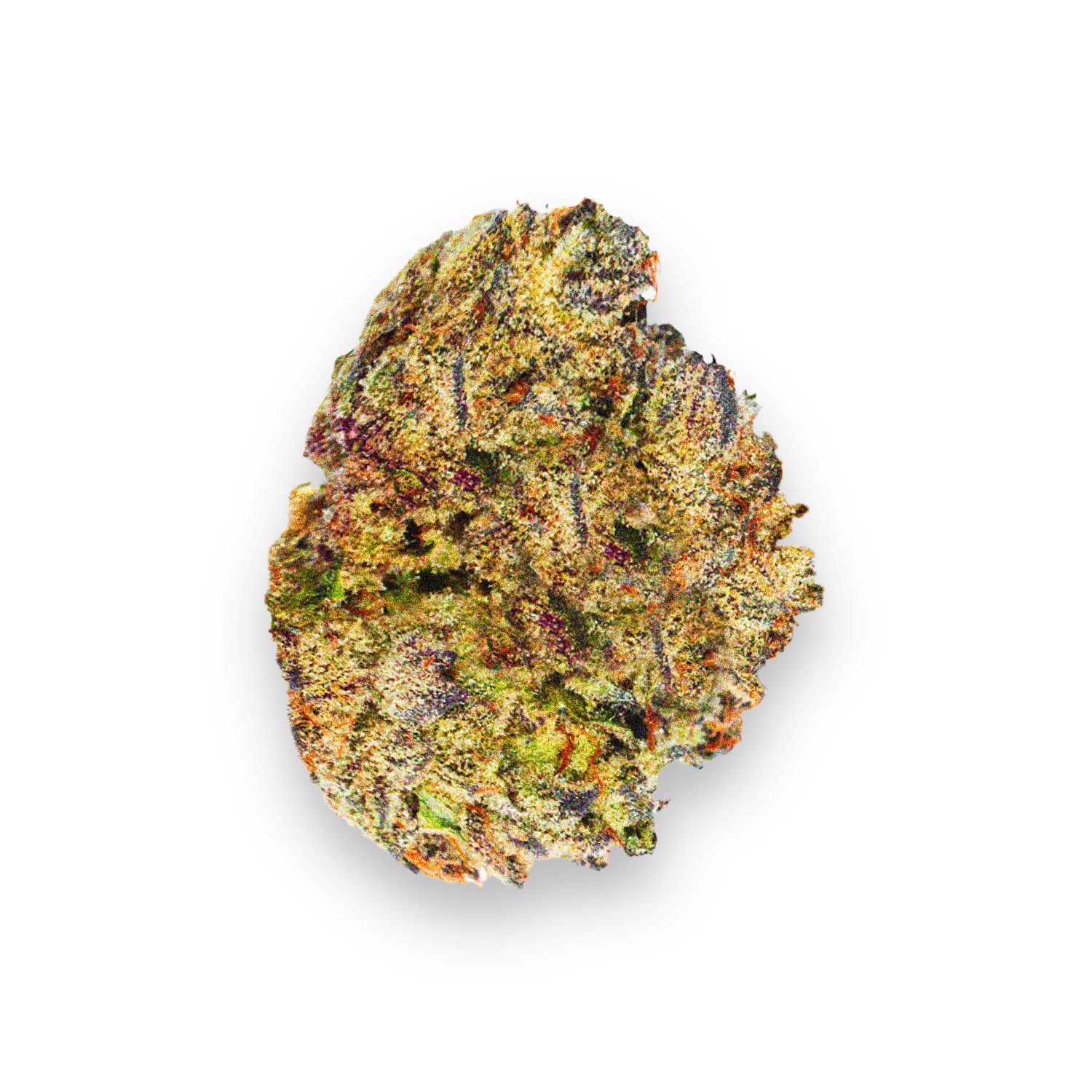 Featured image for “Supafreak Strain”