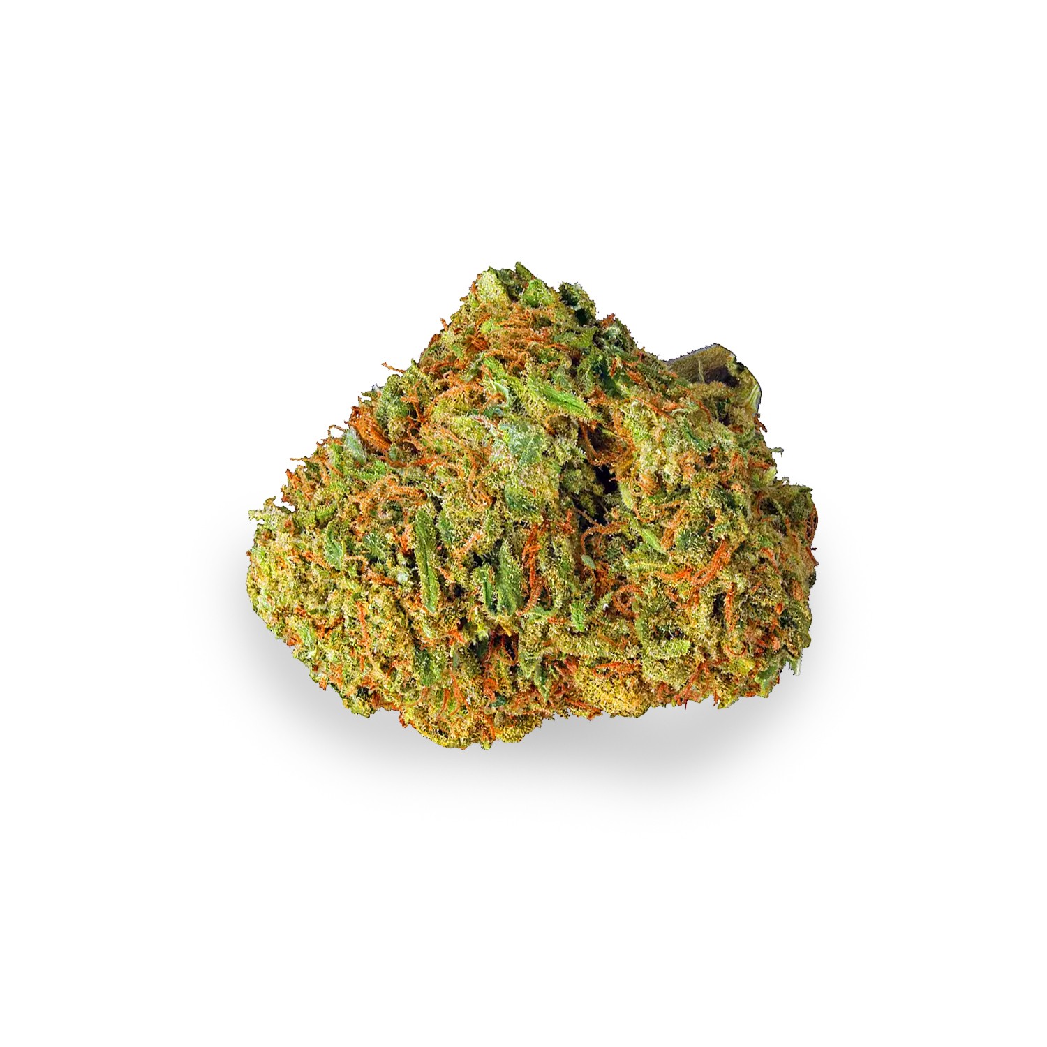 Featured image for “Swiss Tsunami Strain”