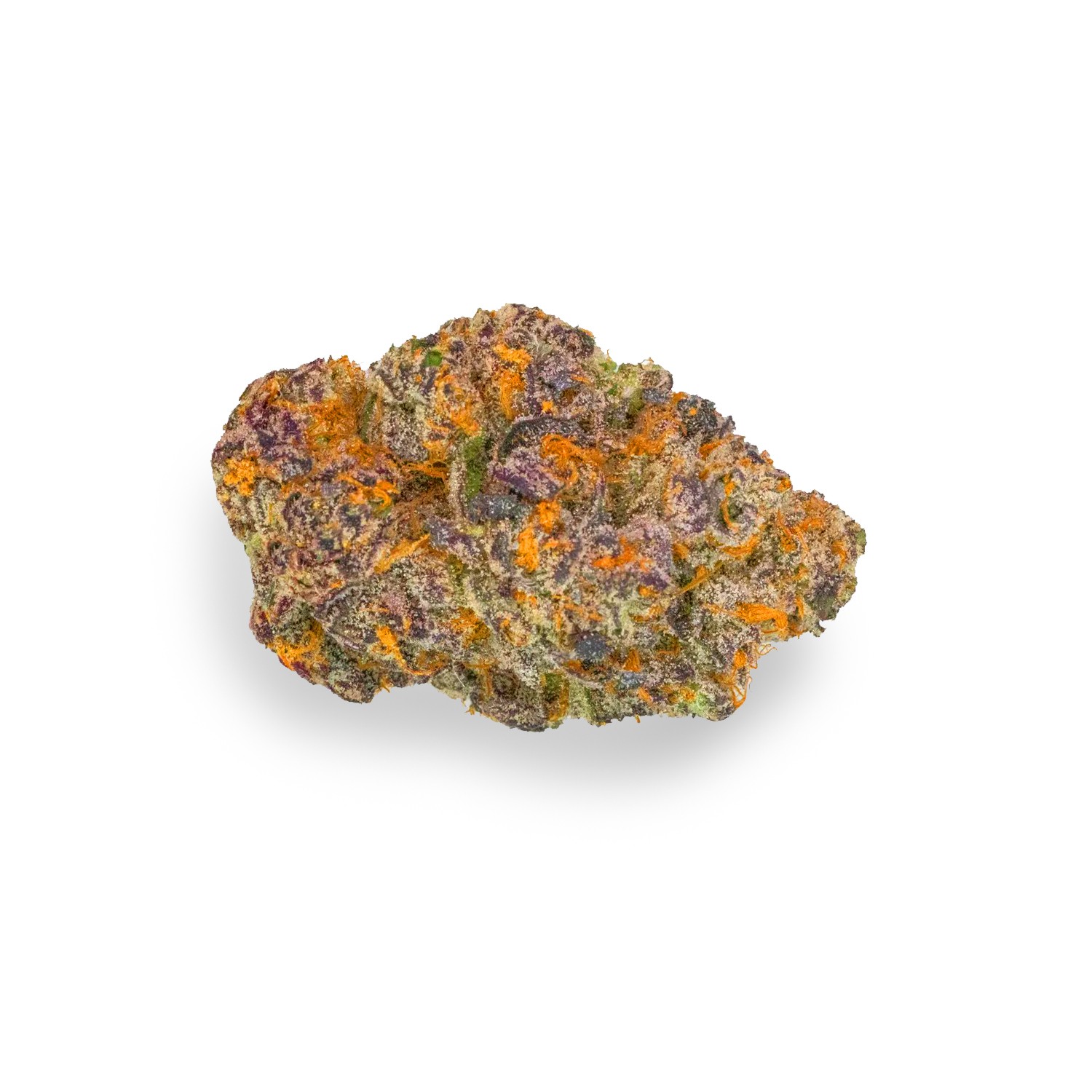 Featured image for “Tardis Strain”