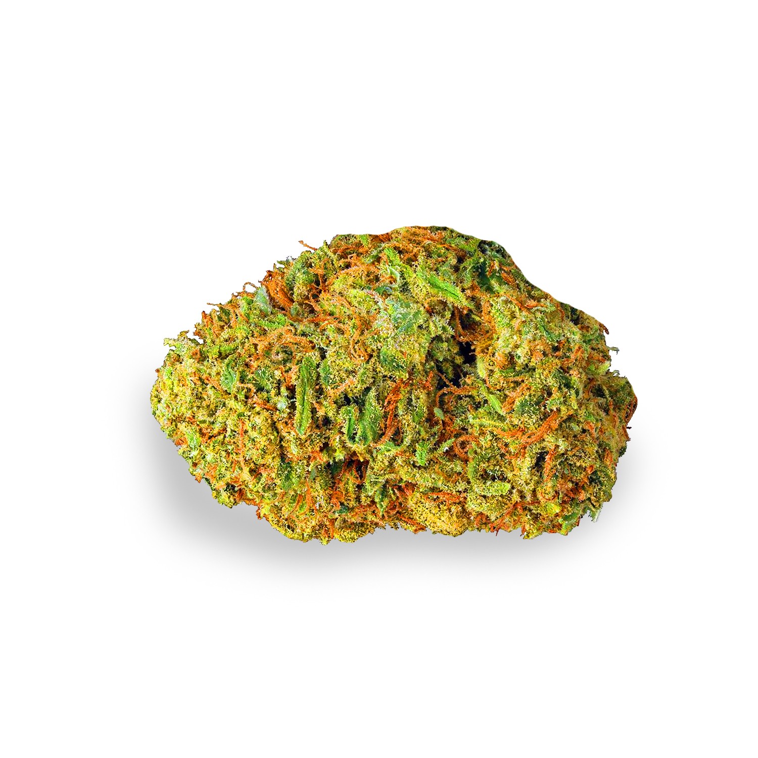 Featured image for “Temple Kush Strain”