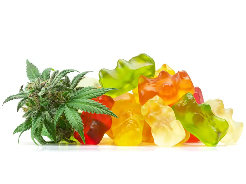 thc edibles and thc gummies turning point of tampa