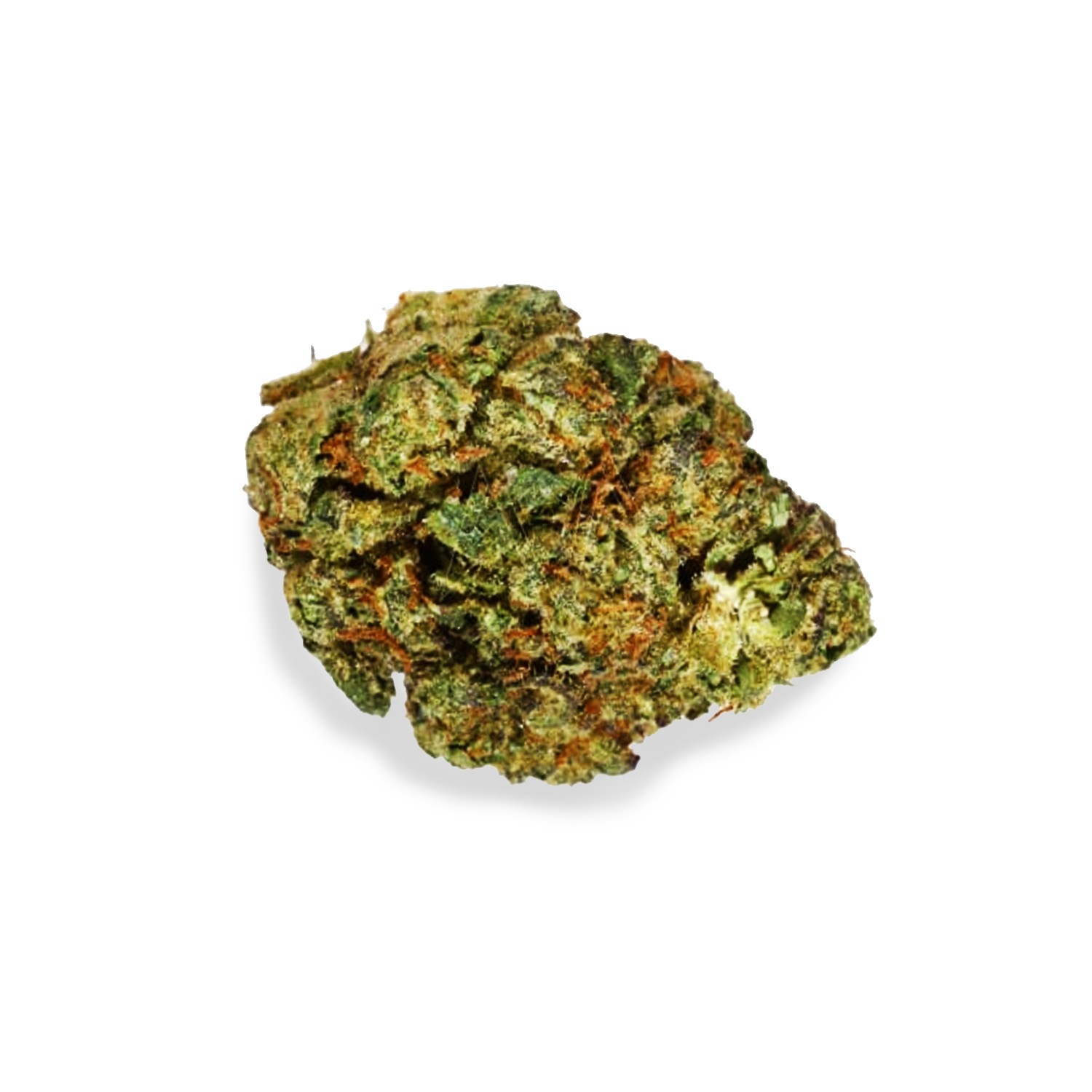 Featured image for “The Y Strain”