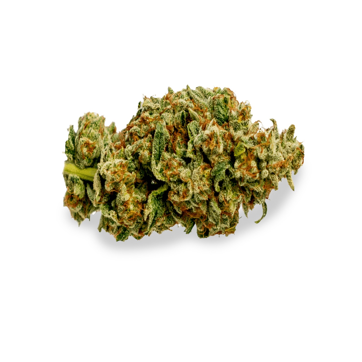 Featured image for “Tom Ford Strain”