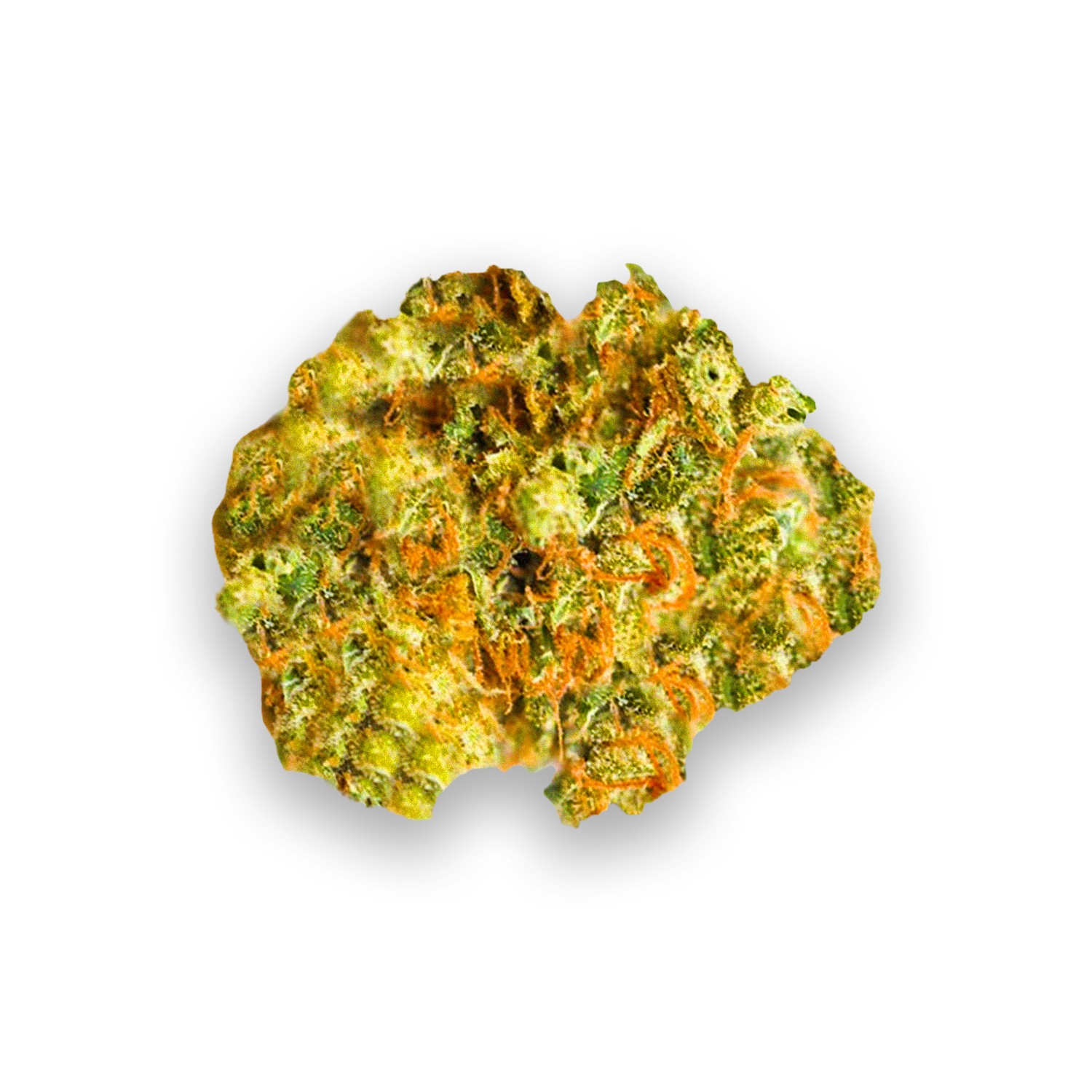 Featured image for “Transformer Strain”