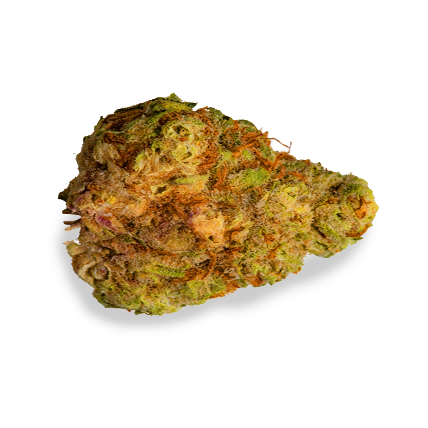 Featured image for “Trophy Wife Strain”