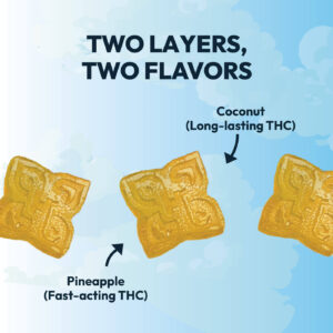 two layers infographic