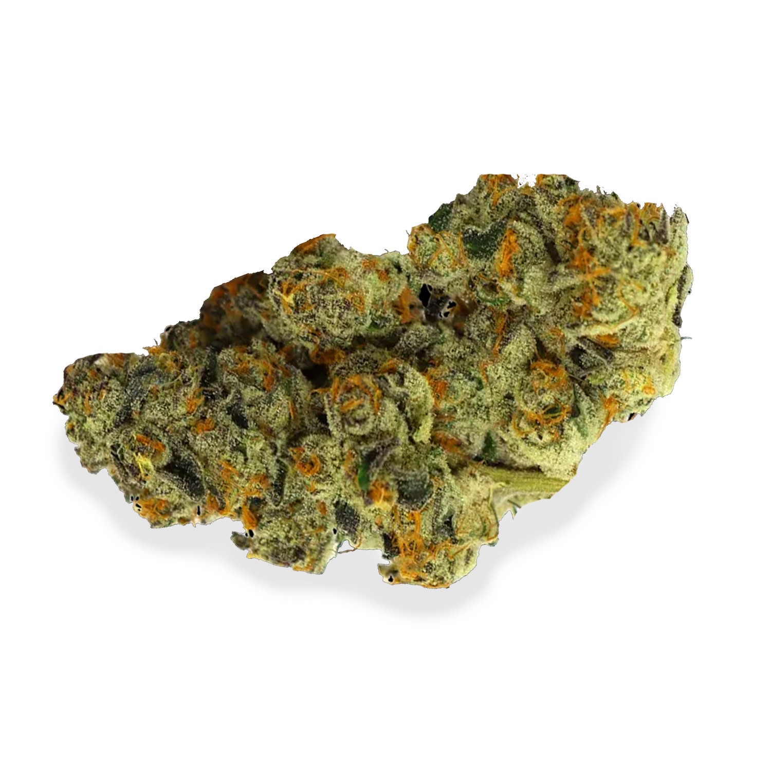 Featured image for “Violet Fog Strain”