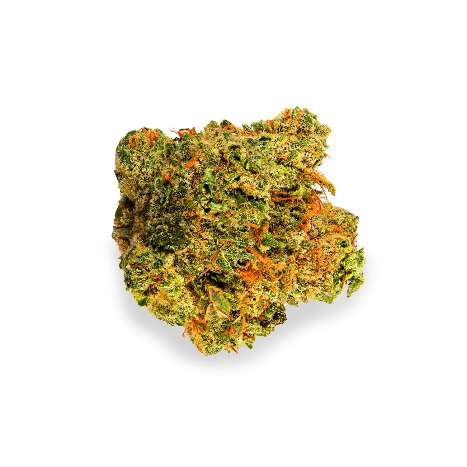 Featured image for “WTF Strain”