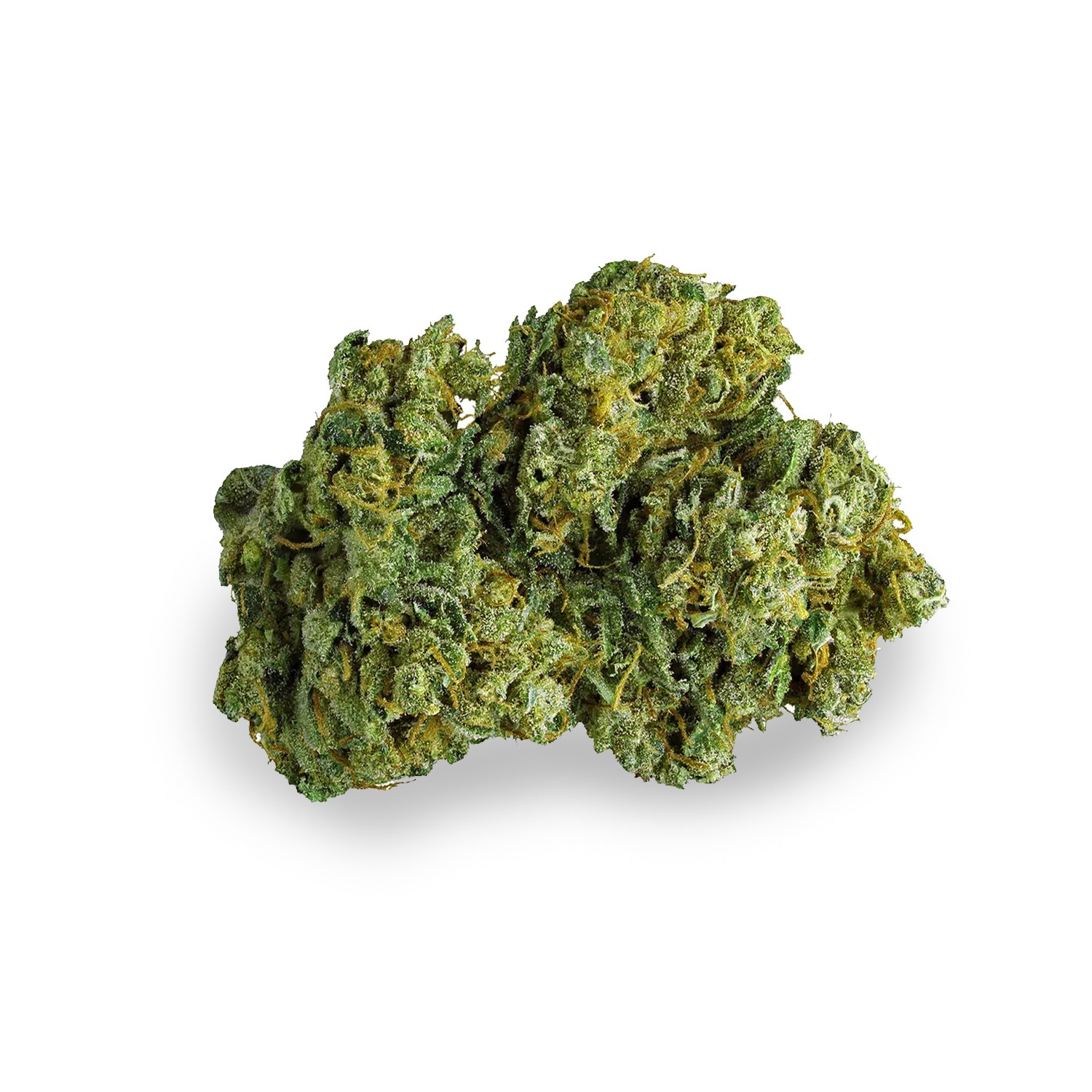 Featured image for “Zoinks Strain”