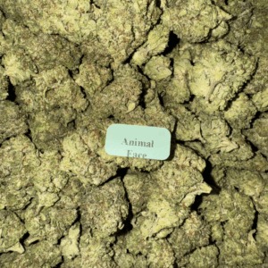 Bloomz THCA Flower Hybrid animal-face