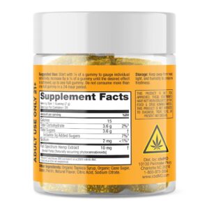 500733_Vibe_20ct_Mango_Gummies_-_back_panel_1