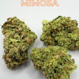 MIMOSA_3