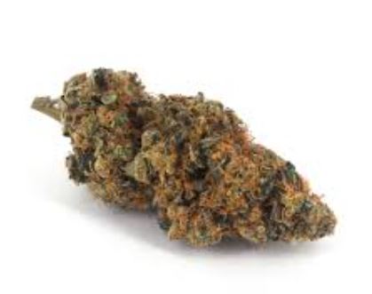 Do-Si-Dos strain vs Animal Cookies strain — Which Is Right for You? 5 Animal Cookies Strain