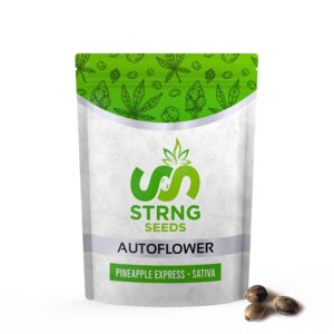 AutoFlower-Pineapple-Express-1-copy-min.jpg