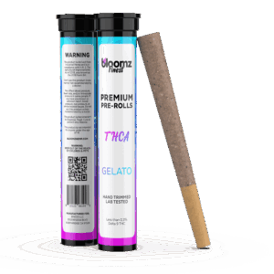 Bloomz THCA Pre-Rolls – 3-Pack/6-Pack 1 THCA PreRolls Buy Online Get Near Me For Sale How To Buy Strongest Gelato Hybrid Indica Sativa
