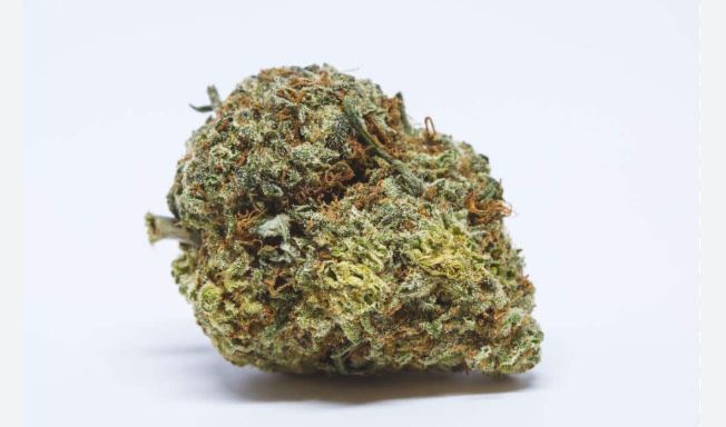 Trainwreck vs Amnesia Haze — Which Is Right for You? 5 Trainwreck