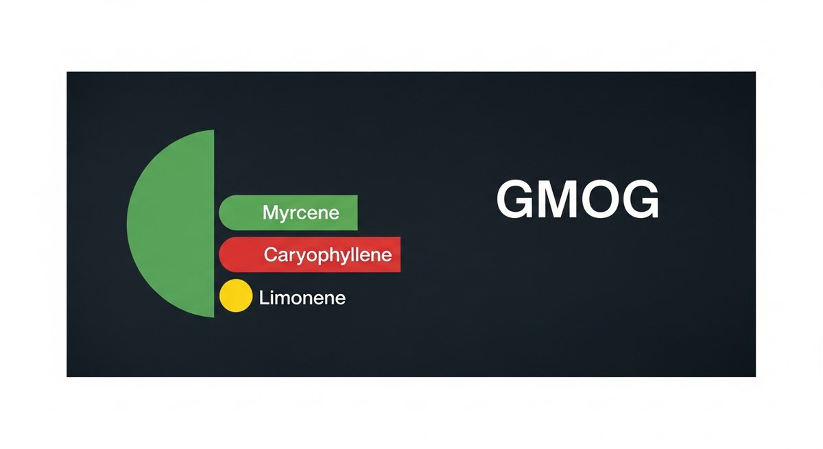 GMOG Strain 2 GMOG terpene profile graphic showing Myrcene in green, Caryophyllene in red, and Limonene in yellow by dominance